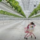 화순농장 이미지