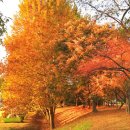 정복농장 이미지