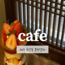 목련양과 이미지