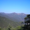 법성주유소 이미지