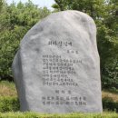 이화우 이미지