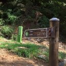 노고산(487m) 밤 줍기 산행 이미지