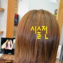 짱머리방 이미지
