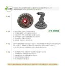 행복한배꼽방 이미지