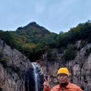 영해농협 로컬푸드직매장 이미지
