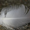 주식회사 닛신 이미지