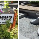 약전삼계탕