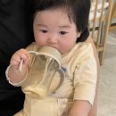 도고소풍스테이 이미지