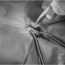 금천동물병원 이미지