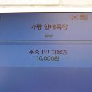 배나무목장 | 경기도 가평 가볼만한곳 남이섬 가평 양떼목장