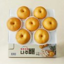 다복이네 이미지