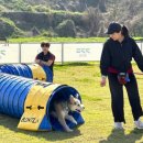 반려마루 화성 이미지