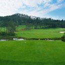 파인비치 이미지