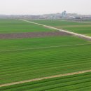 군산스마트공인중개사 이미지