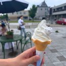 (주)늘푸른우리팜 | 2박3일, 6월 여름 삿포로 2일차 (삿포로투어,팜도미타,사계채언덕 개화상황,신치토세 공항맛집)