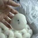 연제구-175 | 부산 연산동떡집 궁잔기지떡 부산시청점, 부산답례떡 부산떡부산답례품 추천