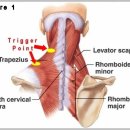 강서바른한의원 이미지