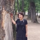 오월쉼표 이미지
