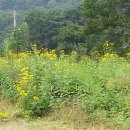 돌쇠농장 이미지