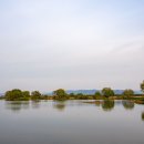 예당5일장 이미지