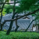 청솔한옥 이미지