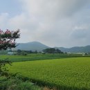 보령2리마을회관 네이버블로그