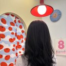 강릉 온플리크헤어 레이어드 컷+펌 서하늘원장님 내돈내산 후기