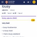 라우지(LOUSY) 이미지