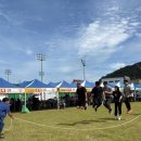 의성생활체육공원 이미지