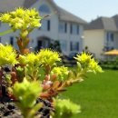 블루베이펜션 이미지