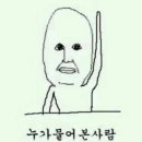 홀리몰리 이미지