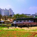 💞 추억속의 명산 산행 영상(504) (중량-망우리 용마산 ) 🕵��‍♂️ 이미지