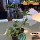 토크 &#39;도시에서 사는 우리에게 자연이 필요하다&#39; 강연 후기 Artist, Life, Insight! 리부트 시리즈