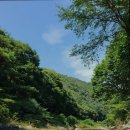 로뎅853-1 이미지