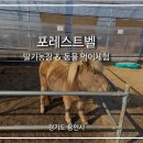 철만농장 | 서울 인근 아이랑 가기 딱 좋은 복합 딸기체험농장 동물먹이주기 포레스트벨