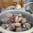 가나영양돌솥 이미지