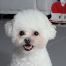 태화동물병원 이미지