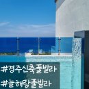 늘해랑가족펜션 | 경주풀빌라 신축 오류고아라해변 늘해랑 풀빌라 후기