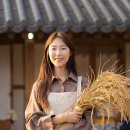 레인보우팜 이미지