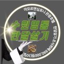 아모르관광호텔 이미지