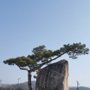 내동마을 영농조합법인 이미지