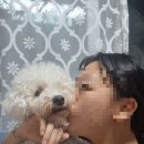 사랑해사랑해호프 네이버블로그