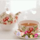 YC인터내셔날 이미지