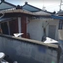 삼일주유소 이미지