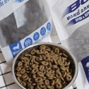 비디아이소프트 이미지