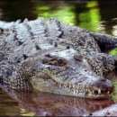 금전농장 이미지