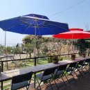 여기가 좋겠네 이미지