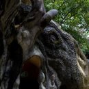 나무집 펜션 이미지