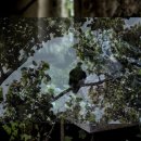 현대의수족 이미지