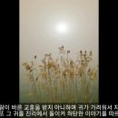 [성경필사] 우리는 주의 움직이는 교회 _ 2021. 05. 03 _ 월요일에 주신 말씀 이미지